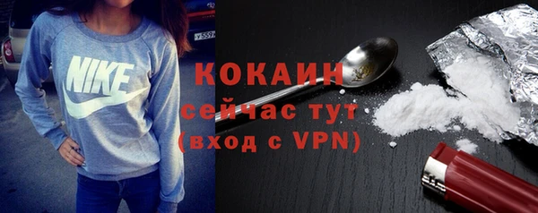 дмт Козловка