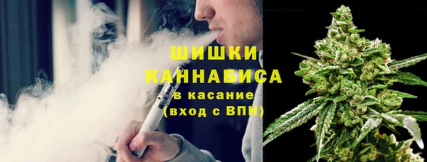 дмт Козловка